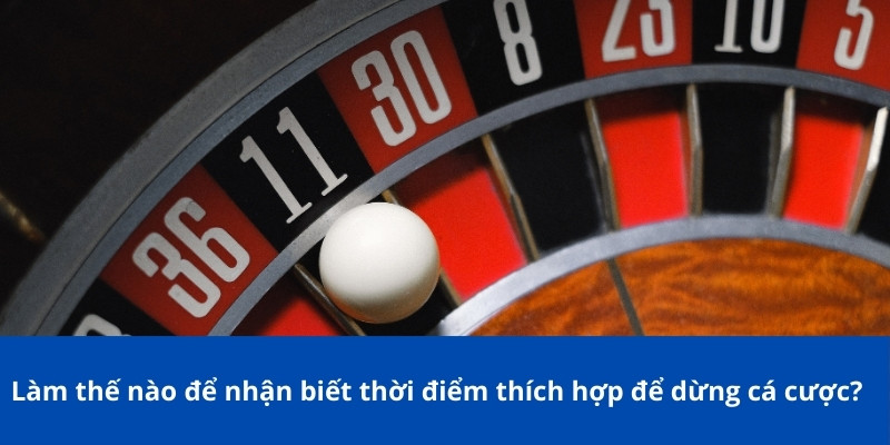 Làm thế nào để nhận biết thời điểm thích hợp để dừng cá cược?