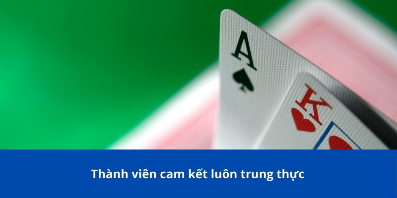 Điều Khoản Và Điều Kiện KG88 – Những Điều Bạn Cần Biết 3 Thành viên cam kết luôn trung thực