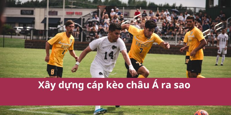 Xây dựng cáp kèo châu Á ra sao 